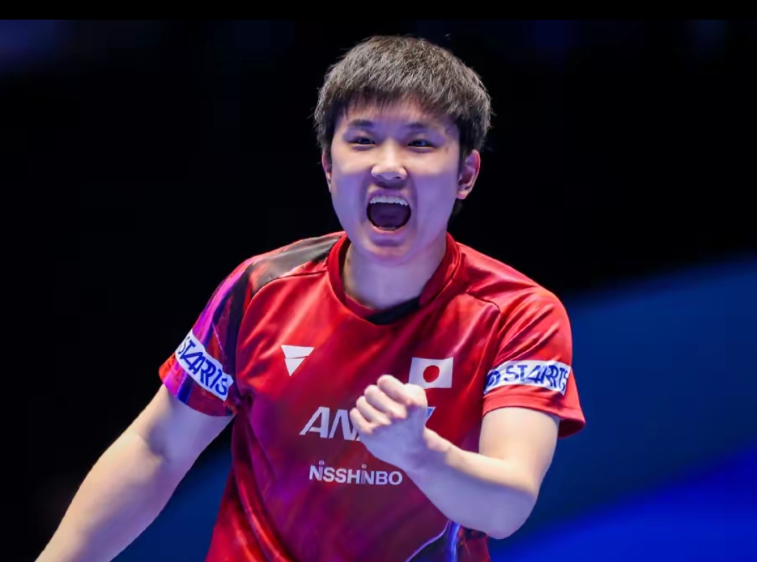 为他们提供 为他们提供